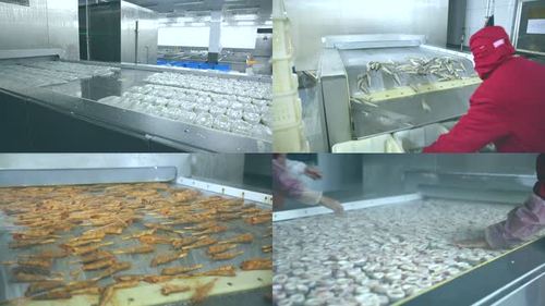 海产品冷冻加工工厂车间食品加工海鲜出口视频素材
